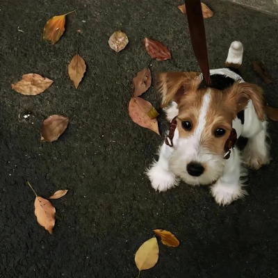 那些被文字拥抱的瞬间 治愈系长句文案分享给你