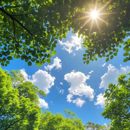 被阳光吻过的微信背景图 温暖氛围感拉满