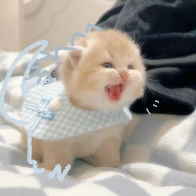 把抽象美学焊在网名上 2025小众独特的意象化ID大赏