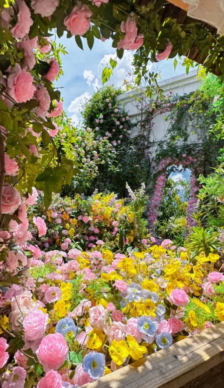 把莫奈花园装进手机 治愈系夏日光影壁纸合集