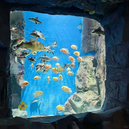 深海与梦境之间 2025高级感蓝色系微信背景图合集