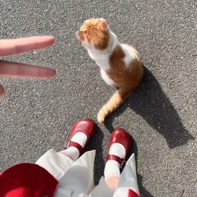 用了秒脱单 让crush心动的恋爱感小文案合集