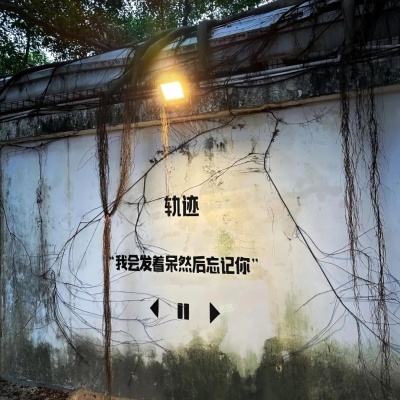 情绪化plog文案合集 把细碎心情写成生活的注脚