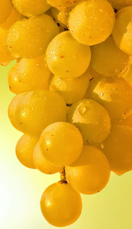 2025多巴胺水果壁纸大赏 把夏天装进屏幕的N种方式