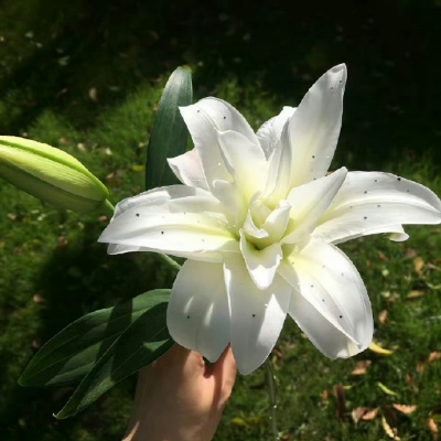 2025最新低谷期自救指南出炉 把破碎写成重生脚本