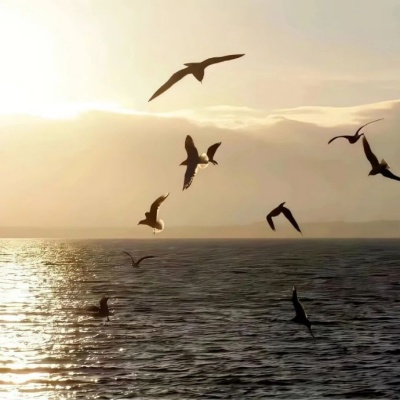 简短有深意的个性签名合集 字字珠玑藏着万千思绪