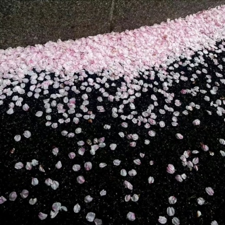 2025小众高级无风格背景图推荐 打造你的独特视觉