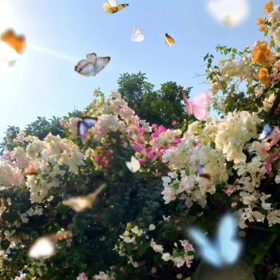 0撞名的神仙网名ID赶快收藏 让你告别撞名尴尬