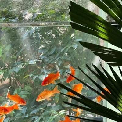 文学摘星人 2025那些值得刻进生命的金句签名