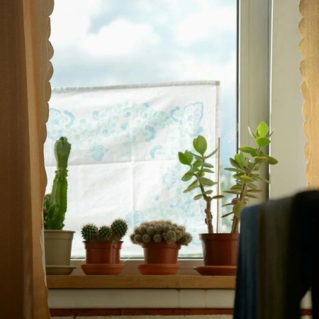 窗台生活美学图片素材来了 把平凡角落写成光影诗篇