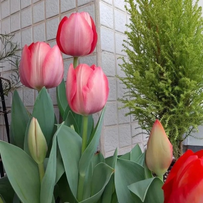 夏日限定超应景的微信签名 藏着一整个夏天的风