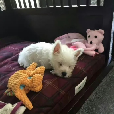 藏着疲惫与委屈的emo签名 说不出的痛都在字里