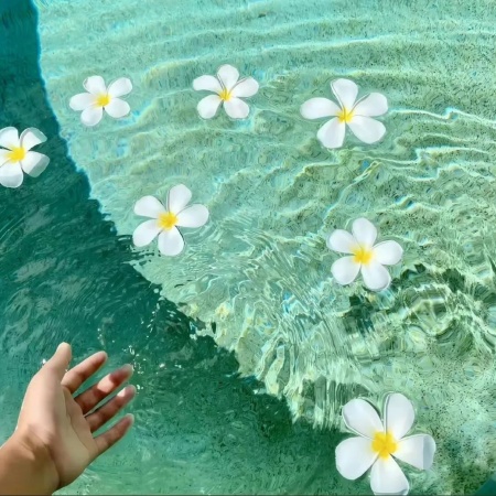 朋友圈C位预定 高级感背景图一键get