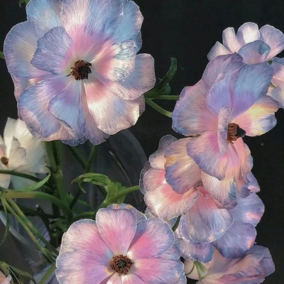 私藏多年的极品网名 独特到让人过目不忘