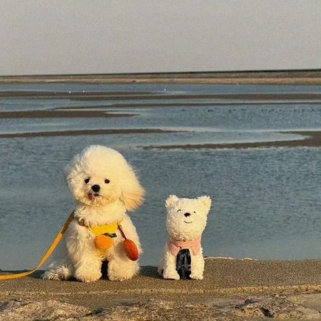 别再用烂大街背景图啦 超独特氛围感背景图来袭