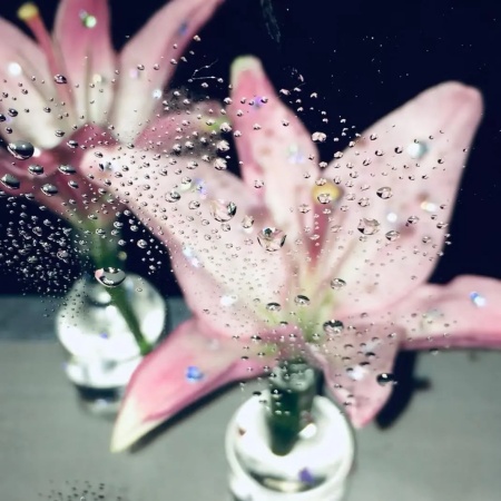 少女心爆棚 2025粉色系背景图一键解锁浪漫