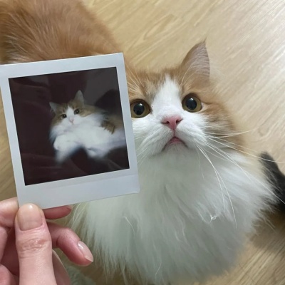 emo时刻专属 朋友圈文案+氛围精准表达小情绪