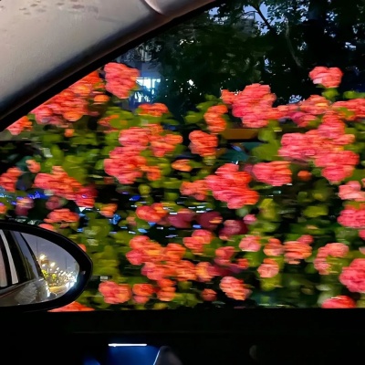 只取悦自己的高级感签名 做自己的光无需借谁的光