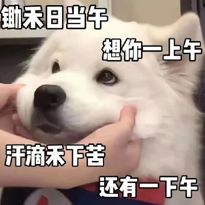 撩人表情包合集 让crush秒回消息的小心机