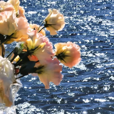 热到变形 2025夏日高温发疯文学朋友圈文案分享