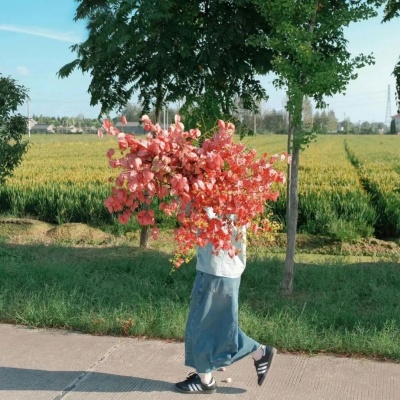 2025个性签名就该这么写 简短文案一眼记住你