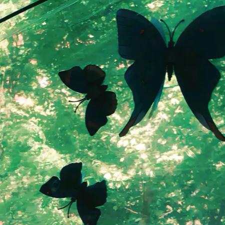 充满生命力的绿色背景图 邂逅自然的蓬勃活力