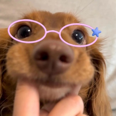 一组超可爱的搞怪头像来袭 带你打破沉闷