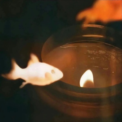 成年人的疲惫被这些文案说透了 句句戳中心窝