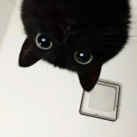 这波乱七八糟的微信背景图 一键开启个性朋友圈