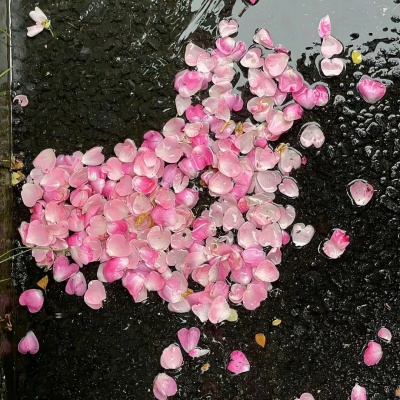 文字失语症患者收藏夹 美到心悸的封神文案分享