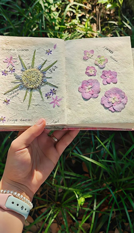 请录用我 求收藏的绝美壁纸自荐信