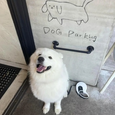 姓氏玩出新花样 这些微信昵称有趣又可爱到犯规