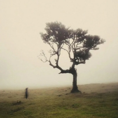 别弄丢自己 这些治愈签名温柔提醒你守住初心