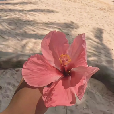 淑女专属网名昵称  温柔雅致自带书香气质