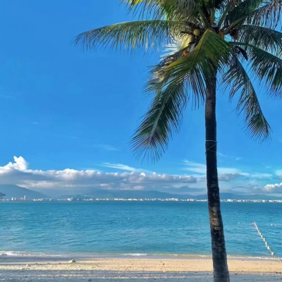 海风路过耳边 2025最新夏日海边心动文学