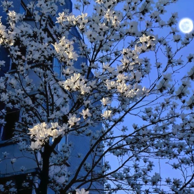 个人签名高级文案分享 藏着不张扬的质感与态度