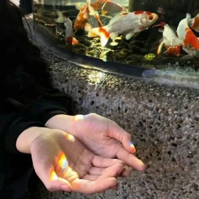 朋友圈高质量文案 三观超正的短句自带光芒