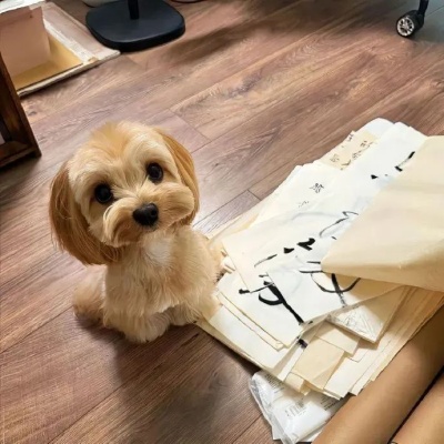 友谊破防文案 看到第几句你@了最好的朋友