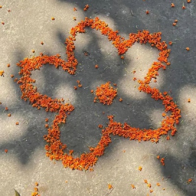 以秋为名的绝美ID 藏在网名里的秋日浪漫与诗意