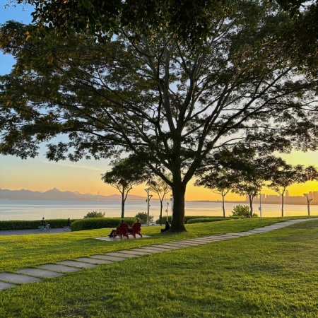 公园治愈图鉴 城市里的氧气补给站