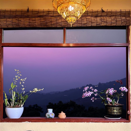 2025云南视觉日记 快门装不下的治愈力