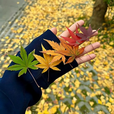 2025绝美入秋网名昵称合集 一眼心动到冬天