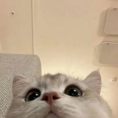 叠字文学暴击 可爱到犯规的朋友圈密码