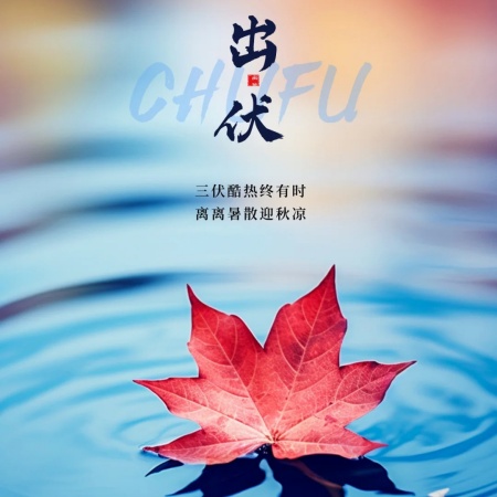 2025出伏焕新颜 绝美图片素材捕捉初秋第一缕清凉