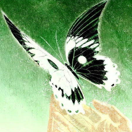 黑系朋友圈美学 神秘高级感背景图