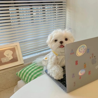 那些乱糟糟的可爱 我偏爱的杂乱风网名