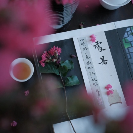 2025处暑最新视觉手记 夏秋交替的温柔定格