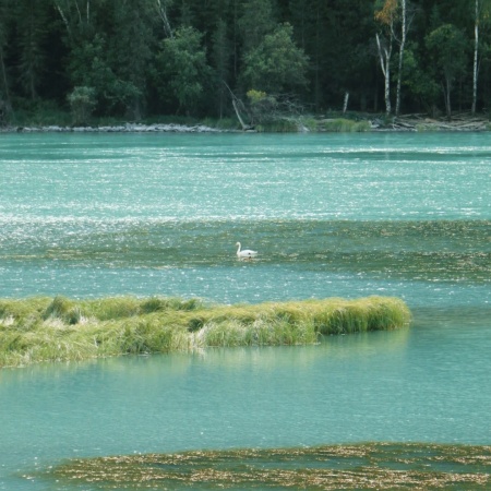 大自然私藏绝美图片 一键开启视觉盛宴