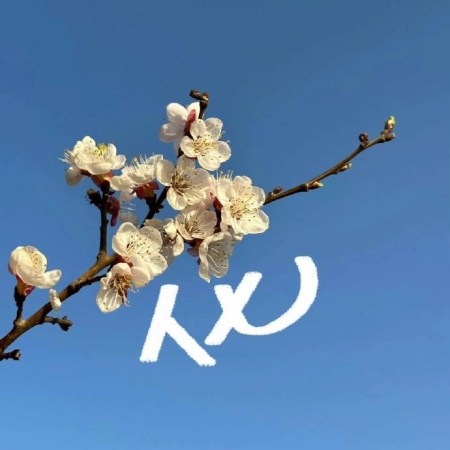 解锁古灵精怪拍照涂鸦 照片瞬间变活泼