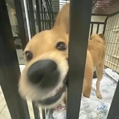 不想被 “卷”？这些头像让领导悄悄 “放过” 你